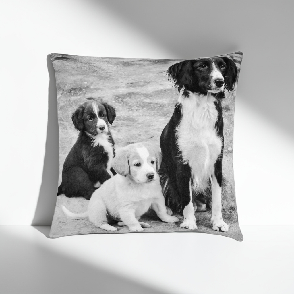 Pet Photo Cushion