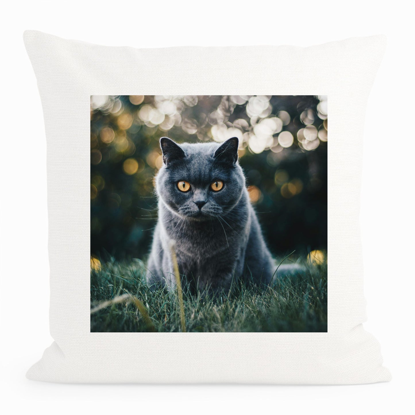 Cat Photo Cushion