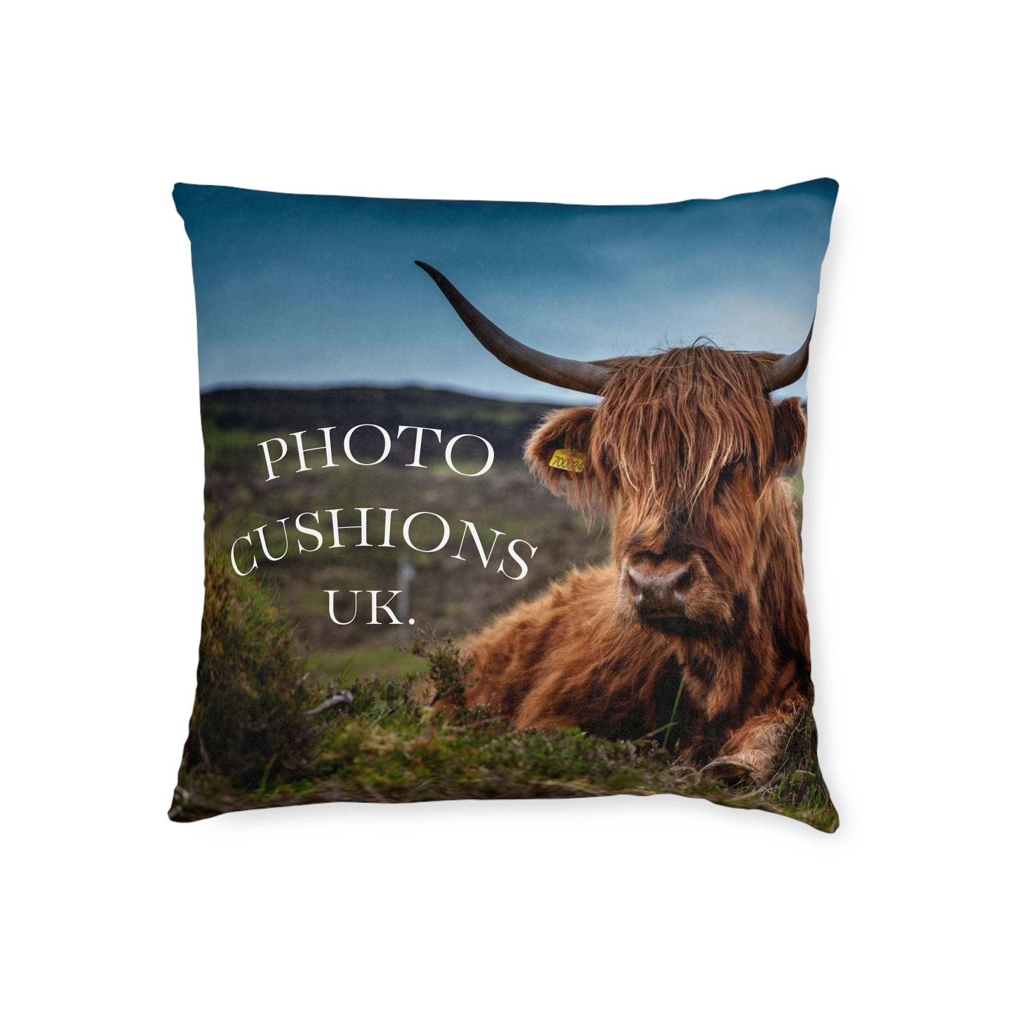 Photo Cushions UK