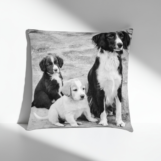 Pet Photo Cushion
