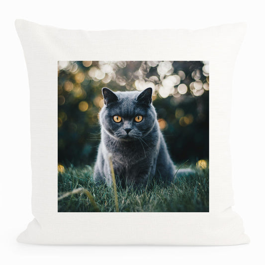 Cat Photo Cushion